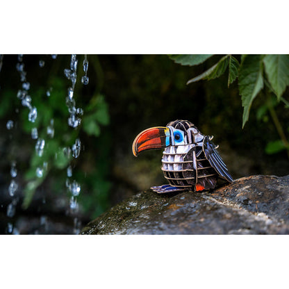 Image of Voices of Nature, Red-Billed Toucan
