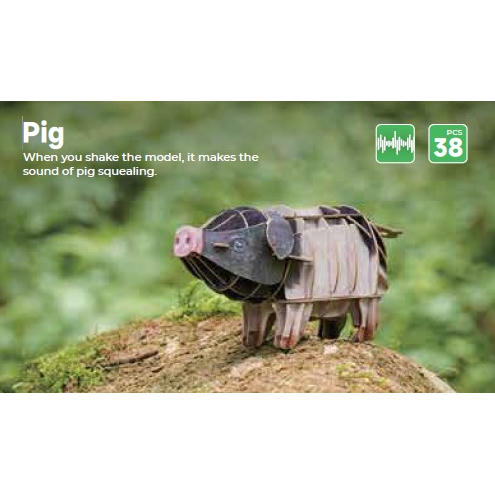 Image of Voices of Nature, Pig