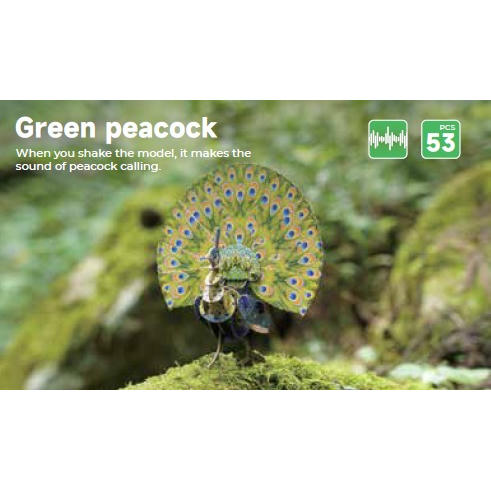 Image of Voices of Nature, Green Peacock
