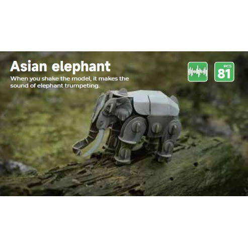 Image of Voices of Nature, Asian Elephant