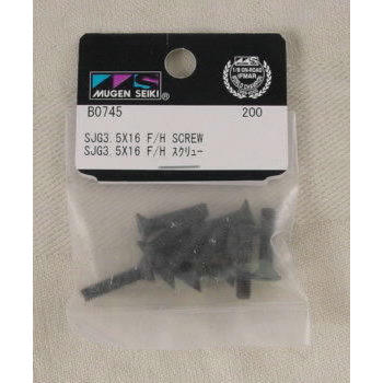 SJG 3.5 X 16MM F/H CAP SCREW