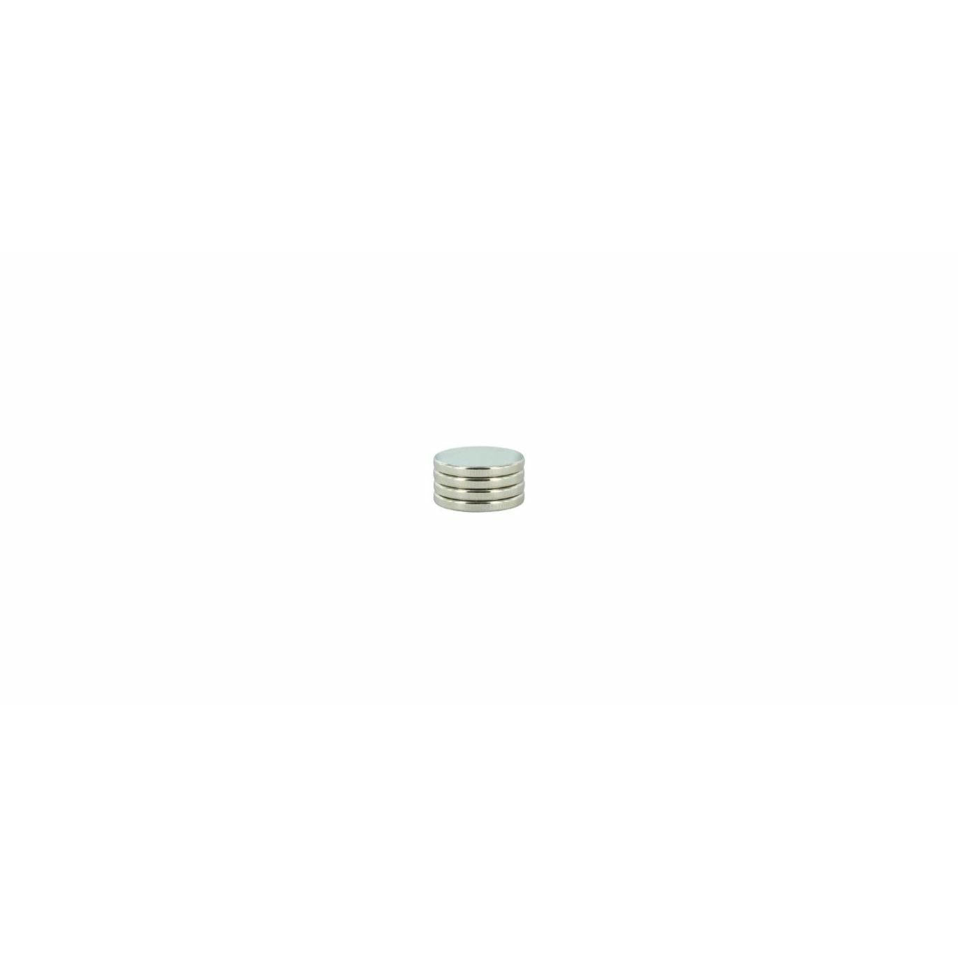 Image of Primal Horizons 1/2 x 1/16 Magnets Pack for Miniatures (4 magnets) PPHZ008