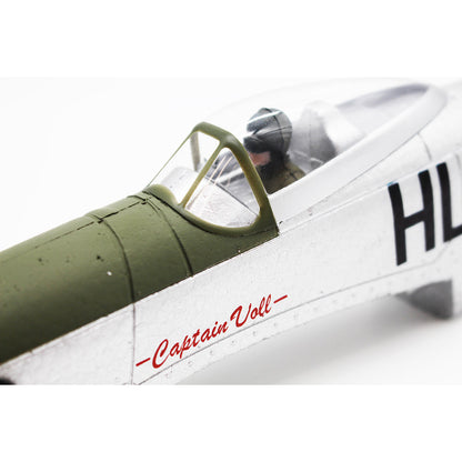 Image of Painted and Printed Fuselage; P-51D BL