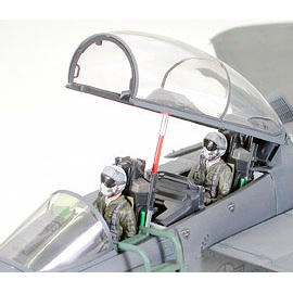 Image of 1/32 F-15E Strike Eagle