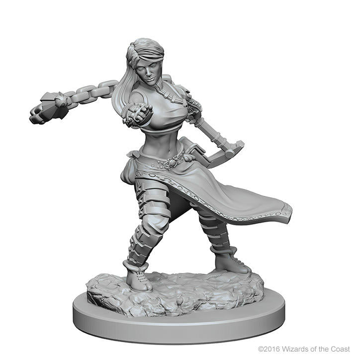 Image of Dungeons & Dragon D&D Nolzur's Marvelous Miniatures: Female Human Monk WZK72634