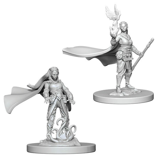 Image of Dungeons & Dragon D&D Nolzur's Marvelous Miniatures: Female Elf Druid WZK72642