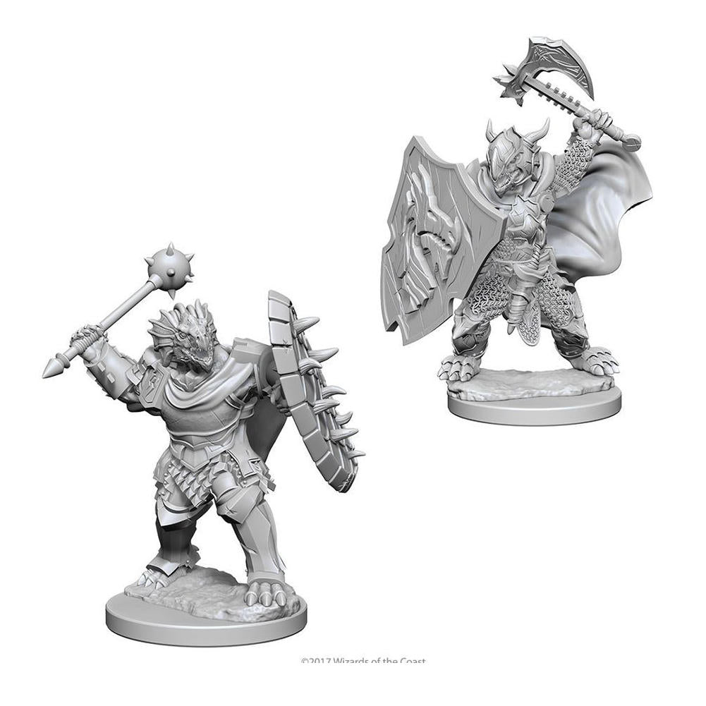 Dungeons &amp; Dragons: Nolzur's Marvelous Unpainted Miniatures - W04 Dragonborn Male Paladin