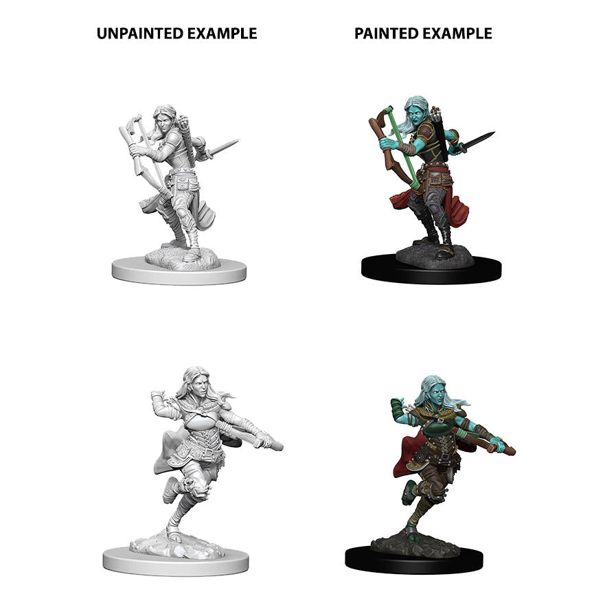 Dungeons & Dragon D&D Nolzur's Marvelous Miniatures: Female Air Genasi Rogue