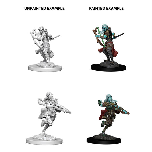 Dungeons & Dragon D&D Nolzur's Marvelous Miniatures: Female Air Genasi Rogue