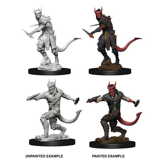 Dungeons & Dragon D&D Nolzur's Marvelous Miniatures Male Tiefling Rogue WZK73338