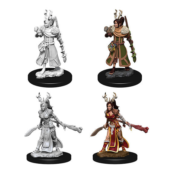 Nolzur's Marvelous Fantasy Miniatures: Female Human Druid 73701