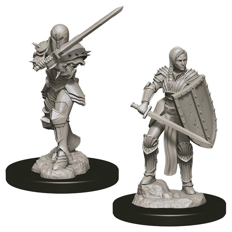 Image of Dungeons & Dragon D&D Nolzur's Marvelous Miniatures Female Elf Fighter WZK73705