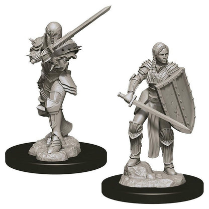 Image of Dungeons & Dragon D&D Nolzur's Marvelous Miniatures Female Elf Fighter WZK73705