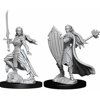 Image of Dungeons & Dragons: Nolzur's Marvelous Unpainted Miniatures - W09 Female Elf Paladin