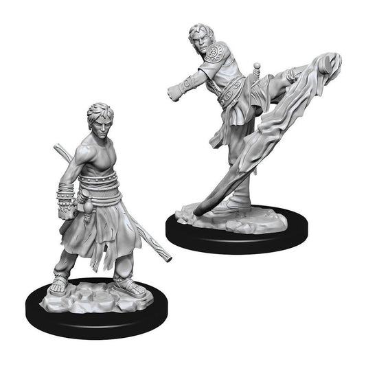 Dungeons & Dragon D&D Nolzur's Marvelous Miniatures Male Half-Elf Monk 73838