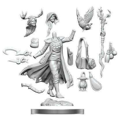 Image of Dungeons & Dragons Frameworks Female Human Druid Miniature Wizkids 75012