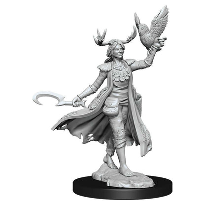 Image of Dungeons & Dragons Frameworks Female Human Druid Miniature Wizkids 75012