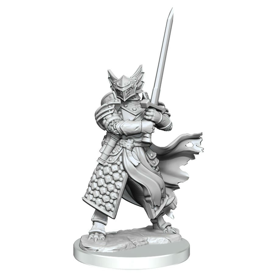 Image of Dungeons & Dragons Frameworks Male Dragonborn Paladin Miniature Wizkids 75022