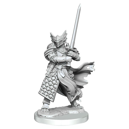 Image of Dungeons & Dragons Frameworks Male Dragonborn Paladin Miniature Wizkids 75022