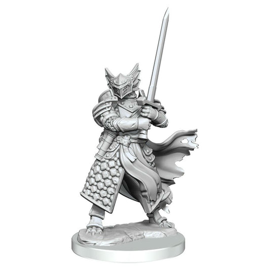 Image of Dungeons & Dragons Frameworks Male Dragonborn Paladin Miniature Wizkids 75022