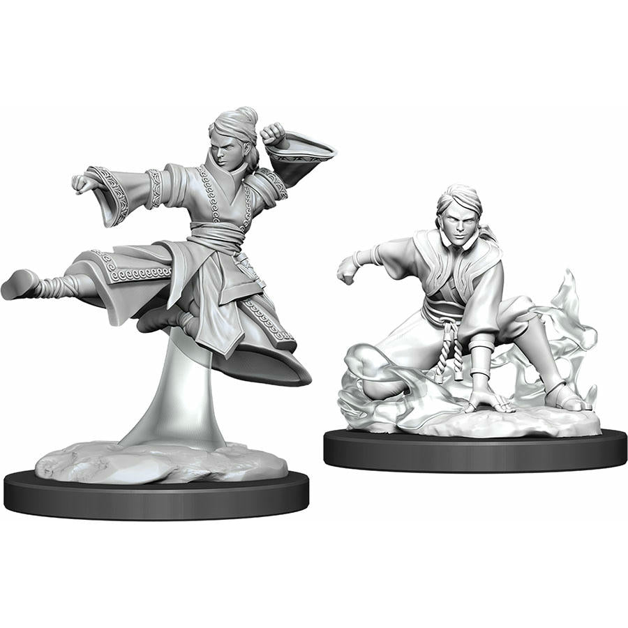 Image of Dungeons & Dragon D&D Nolzur's Marvelous Fantasy Miniatures: Human Male Monk