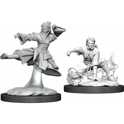 Image of Dungeons & Dragon D&D Nolzur's Marvelous Fantasy Miniatures: Human Male Monk