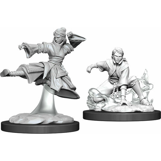 Image of Dungeons & Dragon D&D Nolzur's Marvelous Fantasy Miniatures: Human Male Monk
