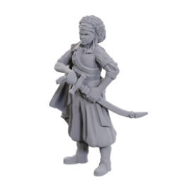 Dungeons &amp; Dragons Nolzur's Marvelous Unpainted Miniatures: W23 Ansalon Human Rogue