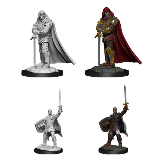 Dungeons & Dragons: Nolzur's Marvelous Unpainted Miniatures - W13 Human Paladin Male