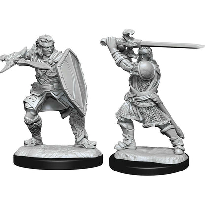 Image of Dungeons & Dragon D&D Nolzur's Marvelous Miniatures Human Male Paladin 90220