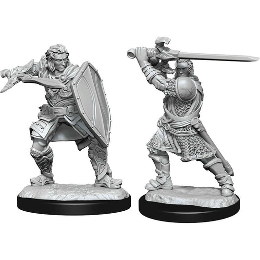 Image of Dungeons & Dragon D&D Nolzur's Marvelous Miniatures Human Male Paladin 90220