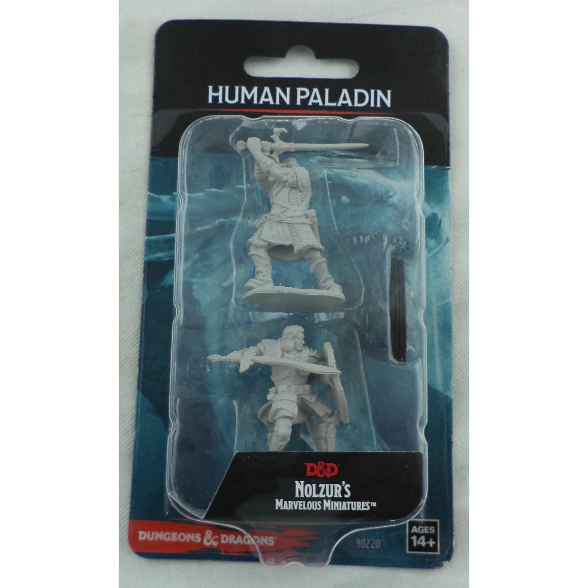 Image of Dungeons & Dragon D&D Nolzur's Marvelous Miniatures Human Male Paladin 90220