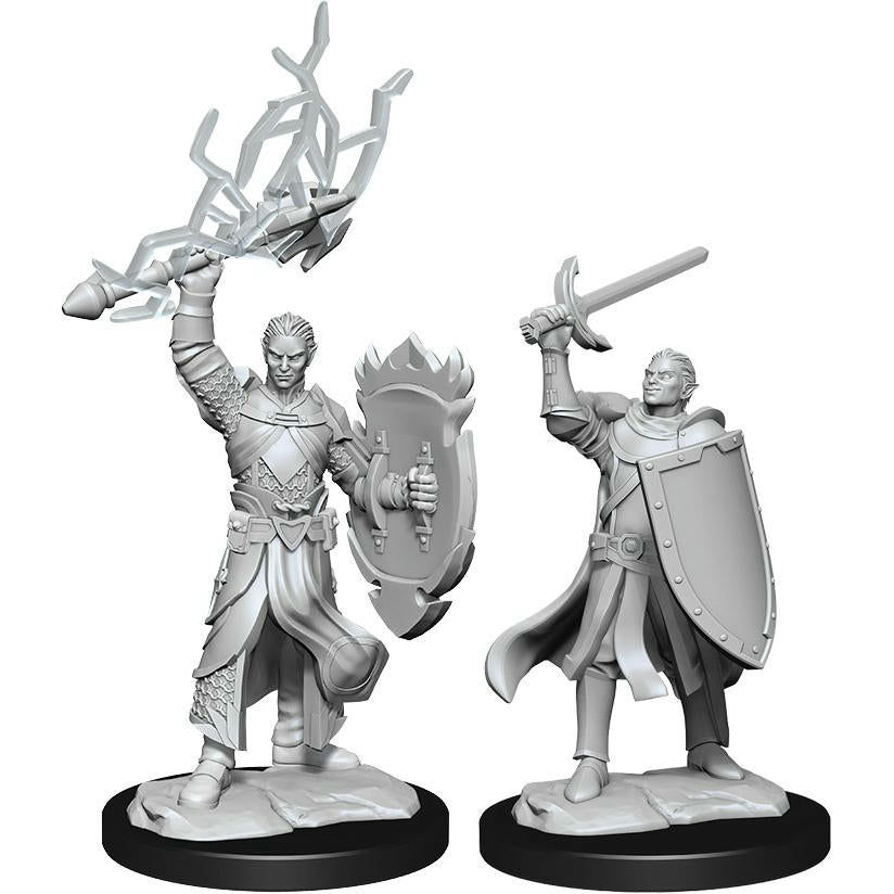 Image of Pathfinder Battles Deep Cuts Fantasy Miniatures Male Half-Elf Paladin WZK90230