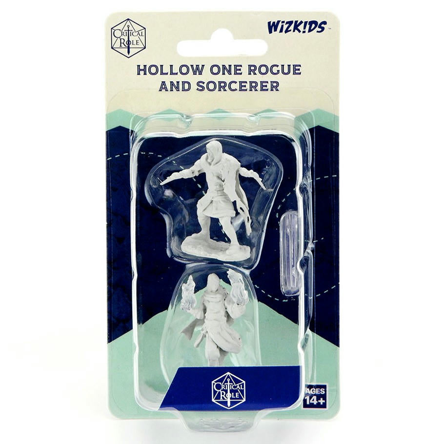 Image of Dungeons & Dragons Critical Role Hollow One Rogue & Sorcerer WZK90380