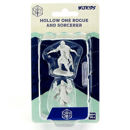 Image of Dungeons & Dragons Critical Role Hollow One Rogue & Sorcerer WZK90380