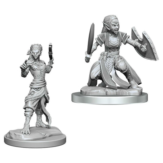 Image of Dungeons & Dragon D&D Nolzur's Miniatures Shifter Fighters (2pcs) WZK90407