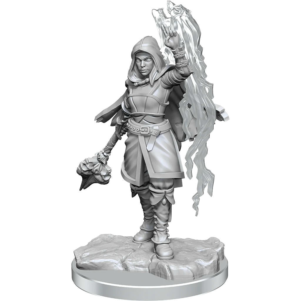 Image of Dungeons & Dragons: Nolzur's Marvelous Unpainted Miniatures - W20 Half-Elf Warlock