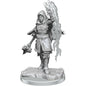 Image of Dungeons & Dragons: Nolzur's Marvelous Unpainted Miniatures - W20 Half-Elf Warlock