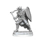 Image of Dungeons & Dragons: Nolzur's Marvelous Unpainted Miniatures - W20 Death Knights