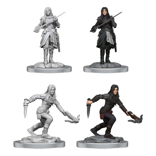 Dungeons & Dragon D&D Nolzur's Marvelous Miniatures Female Half-Elf Rogues