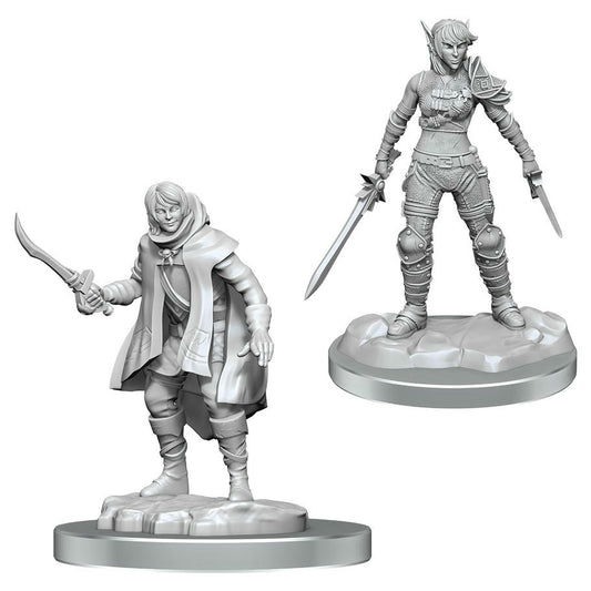Image of Dungeons & Dragon D&D Nolzur's Miniatures Elf Rogue/Half-Elf Rogue Protege 90582