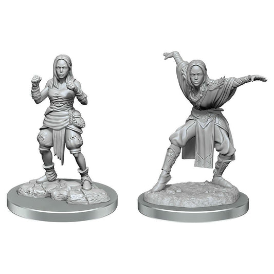 Pathfinder Battles Fantasy Miniatures: Half-Elf Monk Females WZK90652