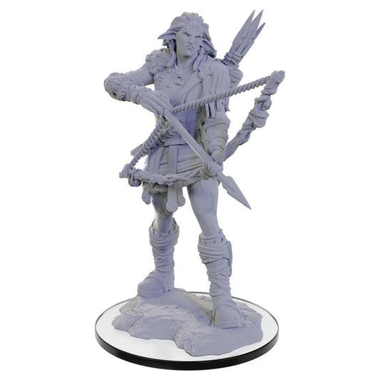 Image of Pathfinder Battles Deep Cuts Fantasy Miniatures Wood Giant WZK90688
