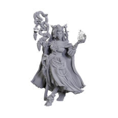 Critical Role Unpainted Miniatures: W23 Fearne Calloway &amp; Mister