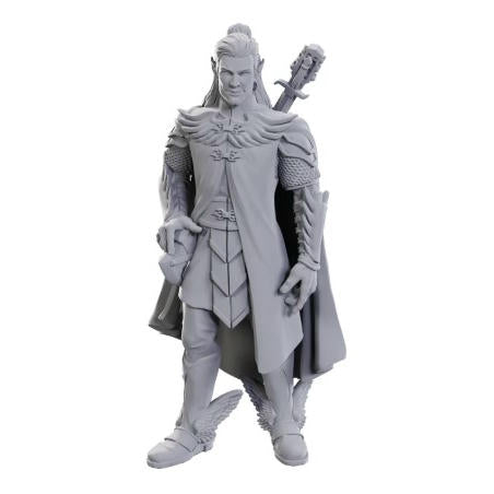 Image of Critical Role Unpainted Miniatures: W23 Dorian Storm