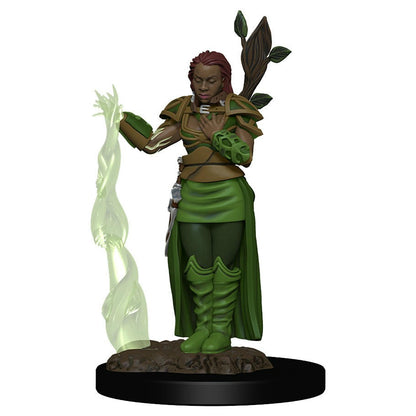 Image of D&D Female Human Druid Premium Painted Fantasy Miniature WZK93009 Wizkids