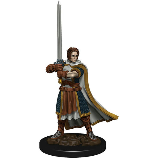 Image of Human Male Cleric Icons of the Realms Premium Painted Fantasy Miniature 93023
