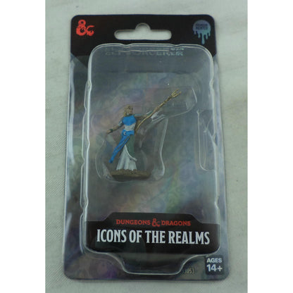 Image of Female Elf Sorcerer Icons of the Realms Premium Painted Fantasy Miniature 93053