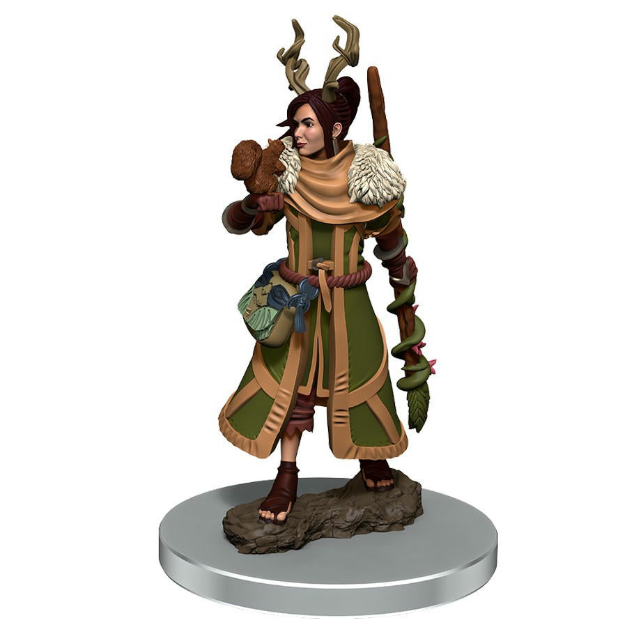 Image of Female Human Druid Icons of the Realms Premium Painted Fantasy Miniature 93054