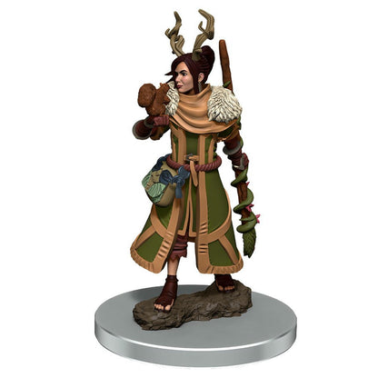 Image of Female Human Druid Icons of the Realms Premium Painted Fantasy Miniature 93054